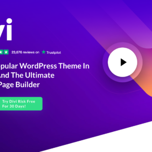 Divi Theme - Single Site License