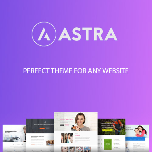 Astra WordPress theme homepage preview