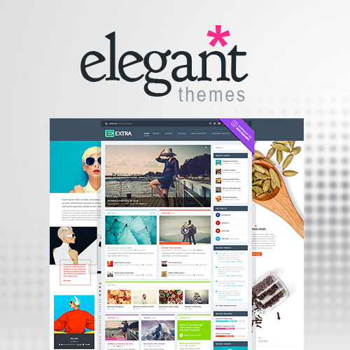 Elegant Themes Extra WordPress theme homepage preview