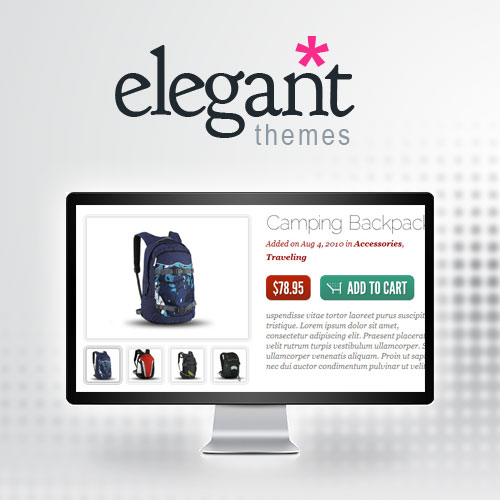 Elegant Themes eStore WooCommerce theme homepage preview