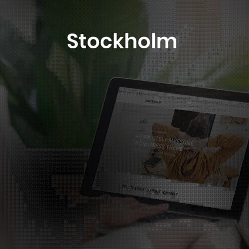 Stockholm genuinely multi-concept theme homepage preview